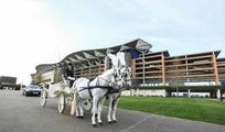Thumbnail image 10 from Ascot Racecourse