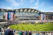 Thumbnail image 12 from Ascot Racecourse