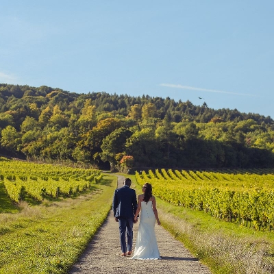County Wedding Events coming to Denbies Wine Estate, Surrey!