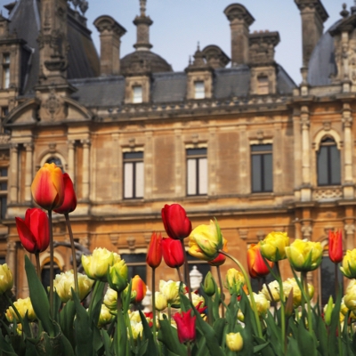 Explore Waddesdon Manor and grounds this spring