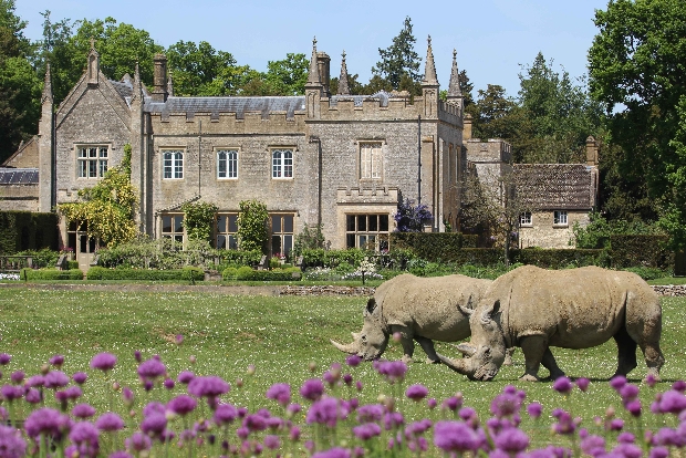 Cotswold Wildlife Park offer the perfect weekend away this summer: Image 1