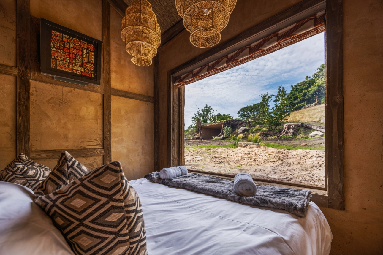 bedroom with window to see lions