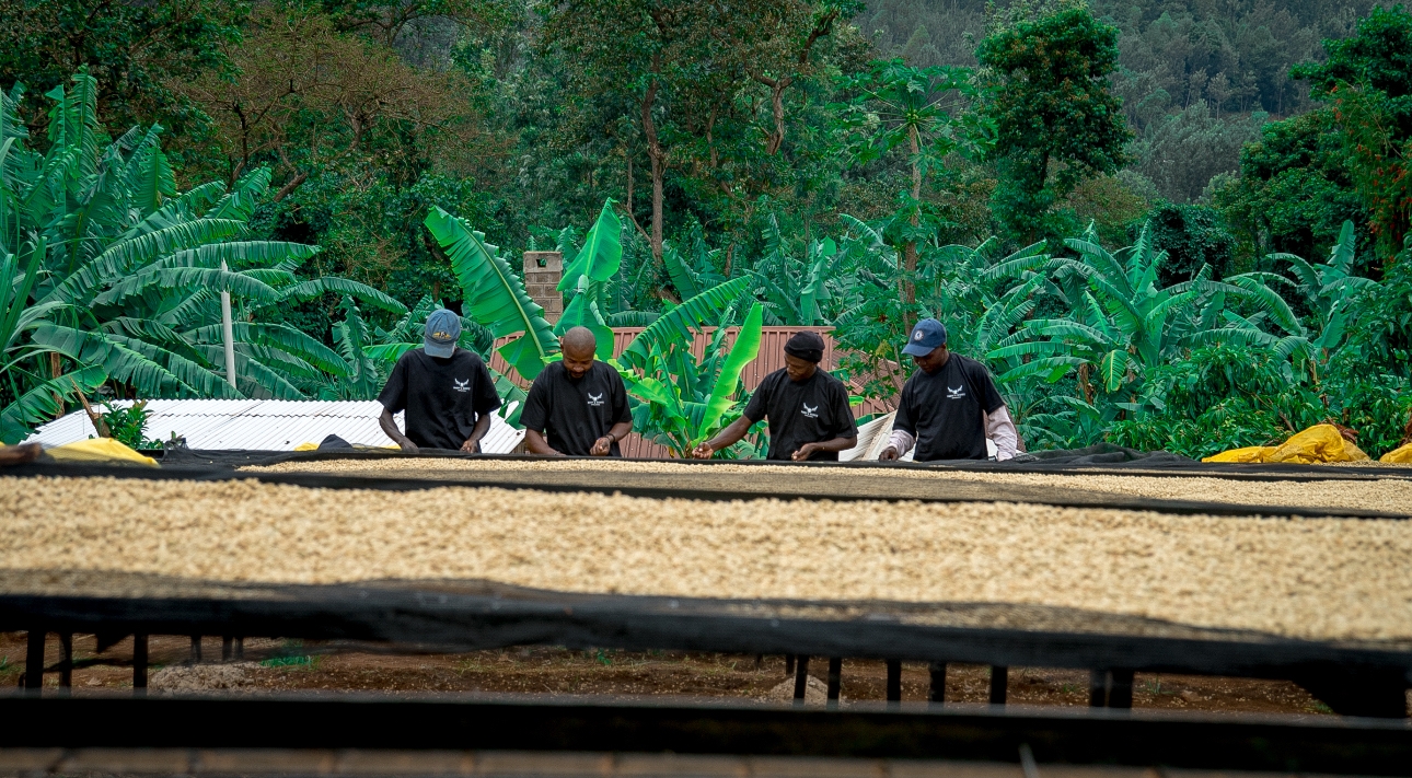 The Muchomba Project in collaboration with Macdonal Hotels & Resorts