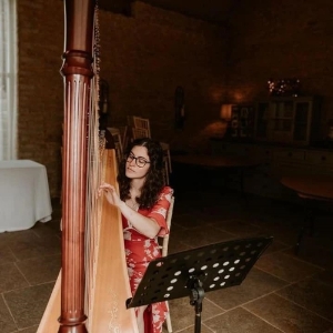 Noa Harpist