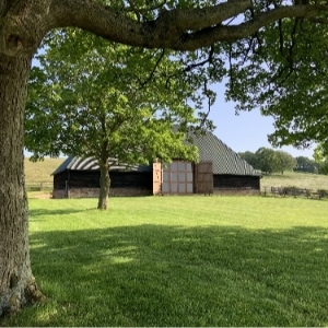 Cold Harbour Events Ltd