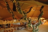 Thumbnail image 3 from Forest Edge Tipis